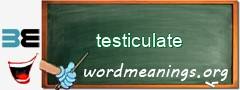 WordMeaning blackboard for testiculate